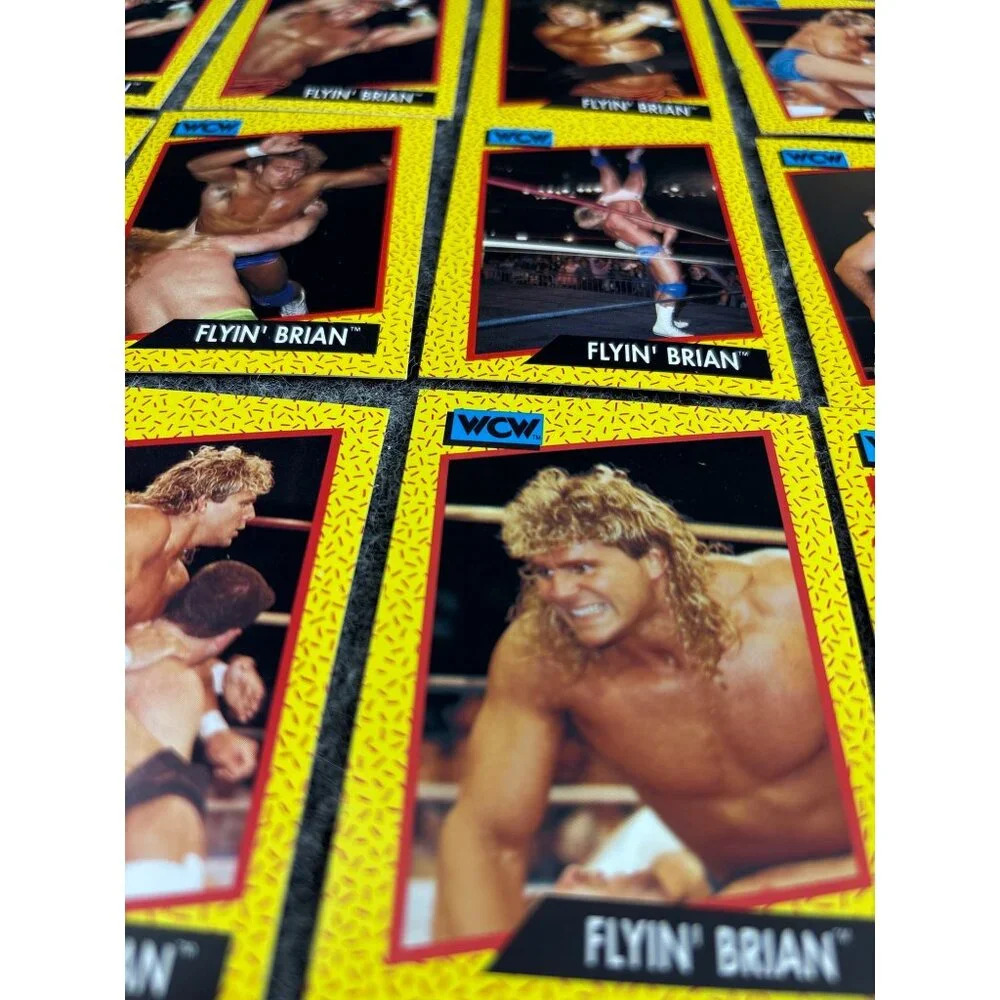 WCW 1991 Flyin Brian Trading Cards
